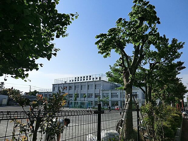 中学校 1100m 三鷹市立第四中学校