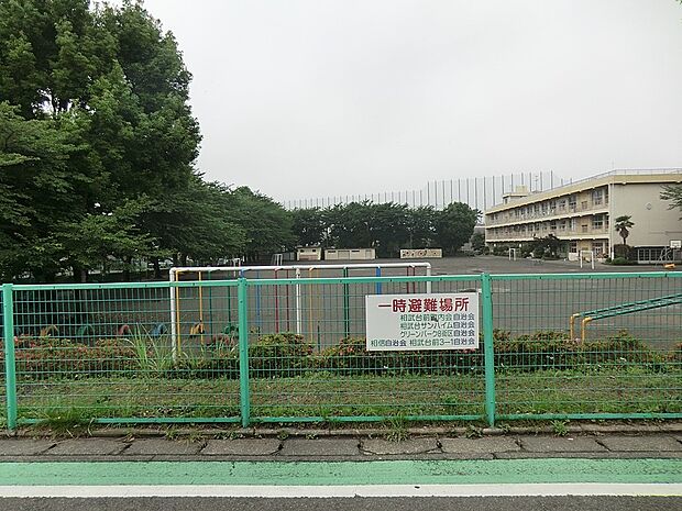 小学校 180m 相模原市緑台小学校