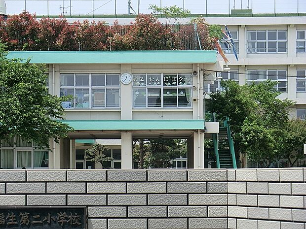 小学校 50m 福生市立福生第二小学校