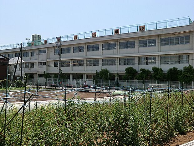 小学校 200m 府中市立府中第八小学校