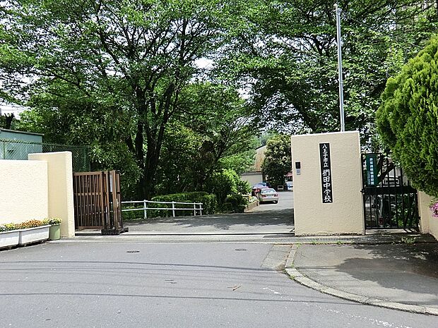 中学校 550m 八王子市立椚田中学校