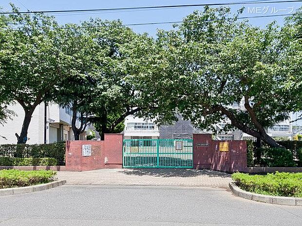 小学校 500m 立川市立若葉台小学校