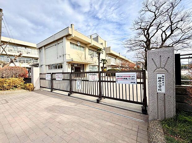 小学校 1600m 町田市立相原小学校