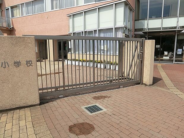 小学校 160m 調布市立調和小学校