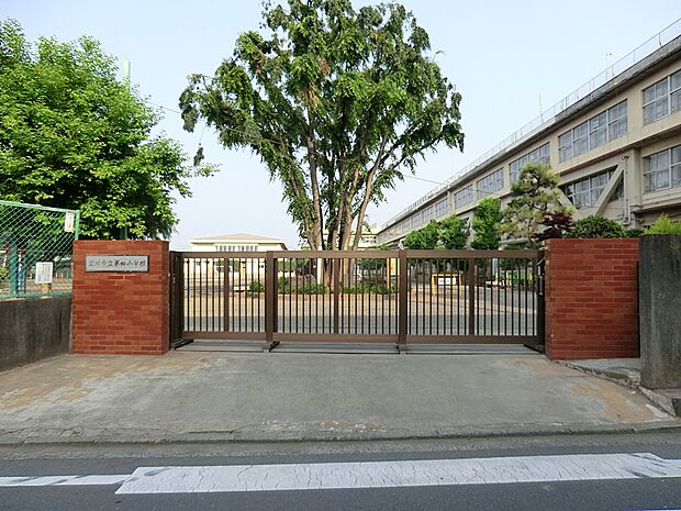 小学校 350m 立川市立第四小学校