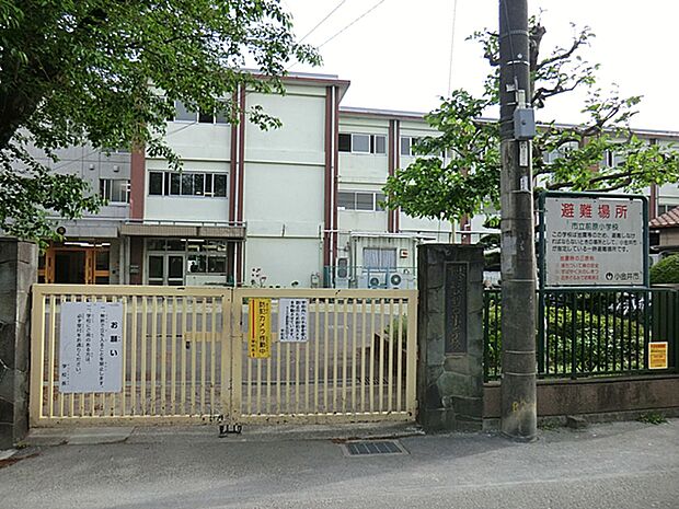 小学校 880m 小金井市立前原小学校