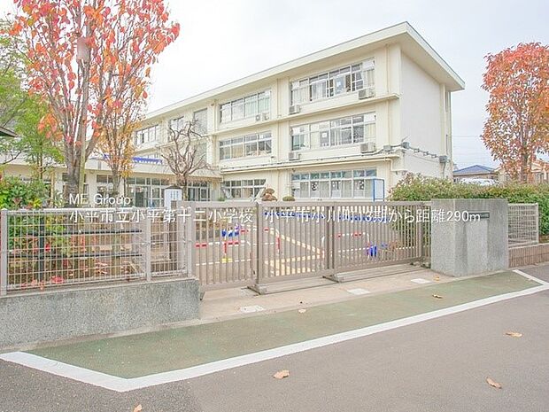 小学校 290m 小平市立小平第十二小学校