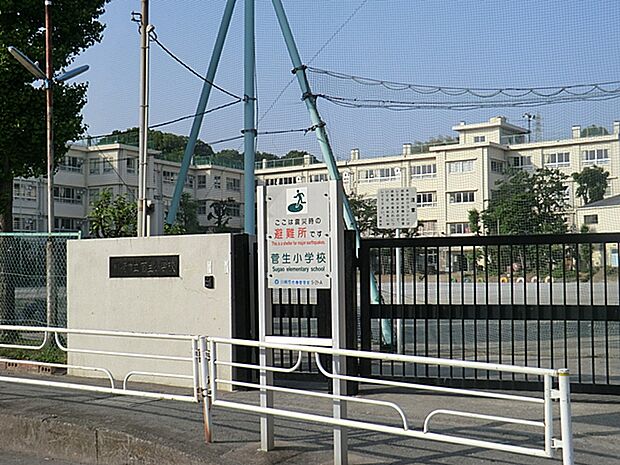 小学校 800m 川崎市立菅生小学校