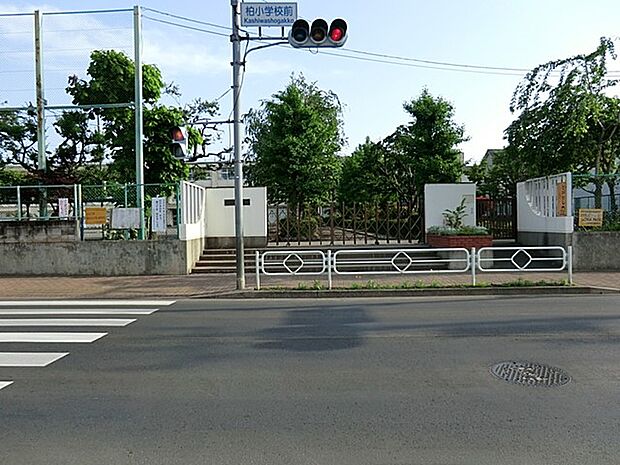 小学校 1120m 立川市立柏小学校