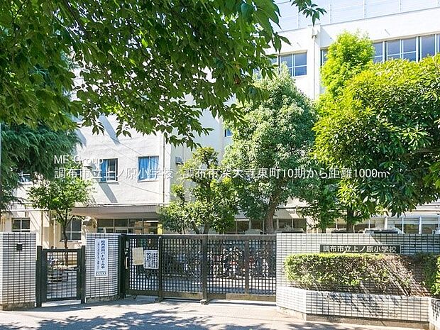 小学校 1000m 調布市立上ノ原小学校