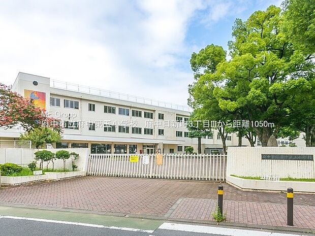 小学校 1050m 府中市立府中第五小学校