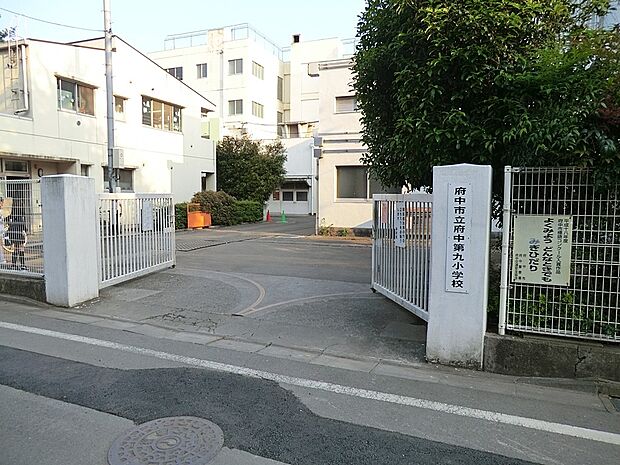 小学校 720m 府中市立府中第九小学校