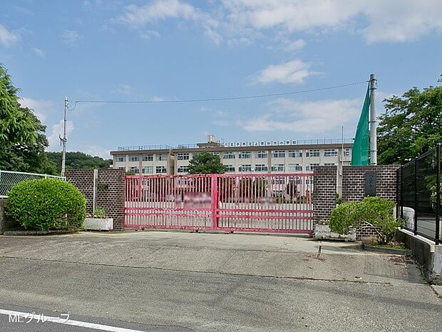 小学校 500m 八王子市立上壱分方小学校