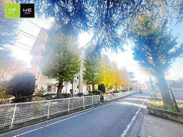 ■この道を歩けば、毎日が少し特別になる
