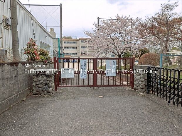 中学校 m