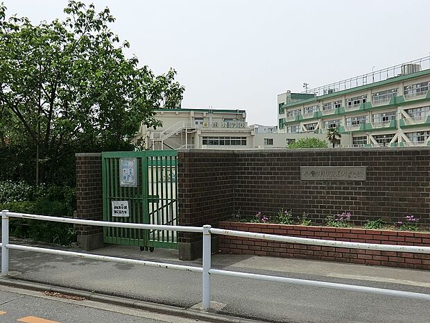 小学校 830m 小金井市立緑小学校