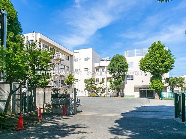 小学校 340m 調布市立杉森小学校