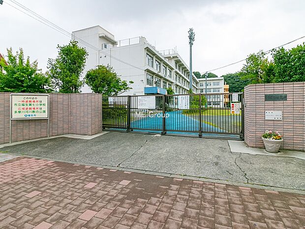 その他環境写真 230m 福生市立福生第七小学校