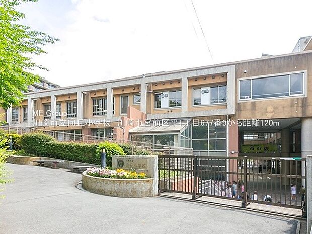 小学校 120m 川崎市立向丘小学校
