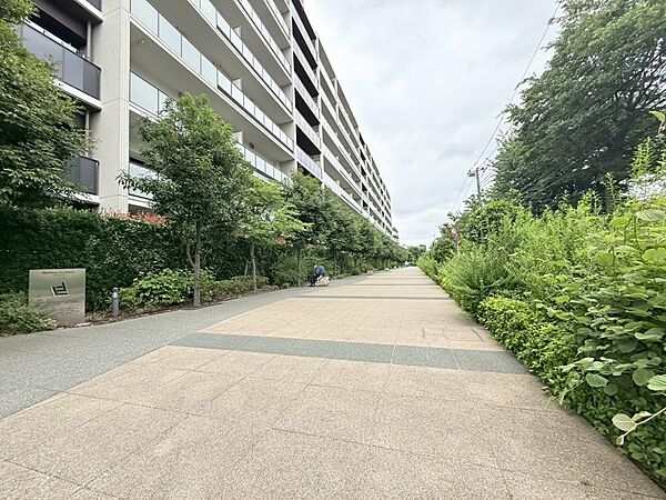 外観：313004809168
