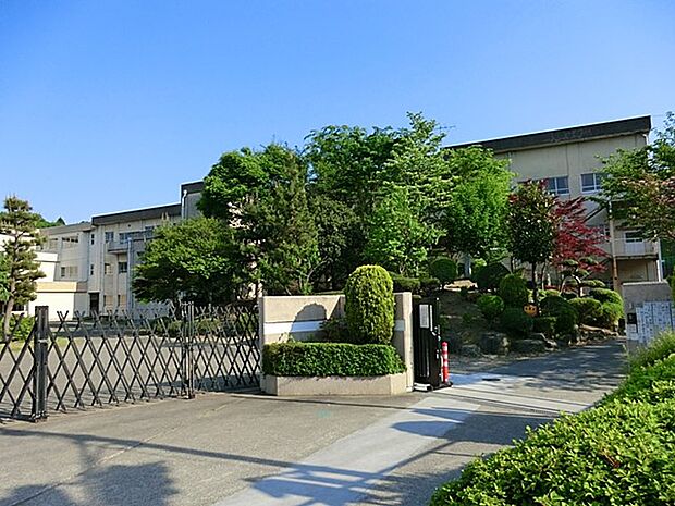 中学校 828m 八王子市立中山中学校