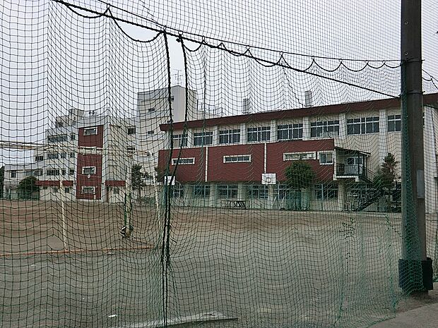 中学校 500m 小金井市立緑中学校