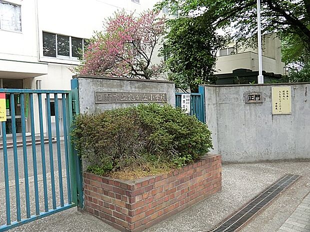 小学校 1500m 日野市立旭が丘小学校