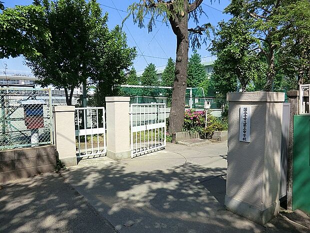 中学校 800m 国分寺市立第三中学校