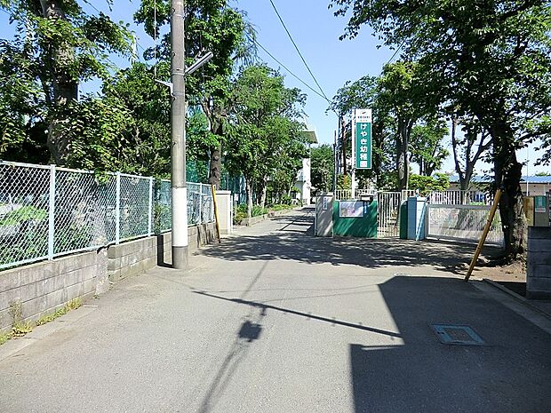 幼稚園・保育園 800m 国分寺けやき幼稚園