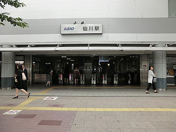 駅 800m 京王線「仙川」駅
