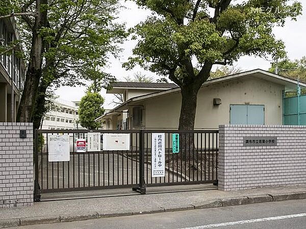 小学校 700m 調布市立若葉小学校