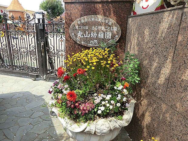 幼稚園・保育園 1000m 丸山幼稚園