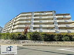 緑丘コータース