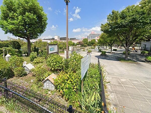 周辺環境｜市場池公園：徒歩5分（400ｍ）
