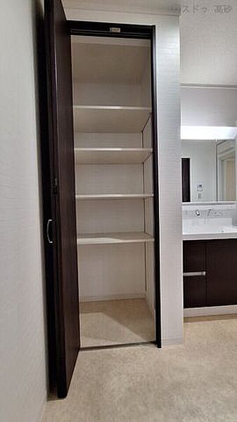 洗面脱衣場には収納がございます。衣類やタオル等収納出来るようになっています(2024年10月12日撮影)