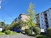 岡寺駅より徒歩10分 築49年5ヶ月 5階建の賃貸物件