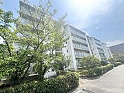 岡寺駅より徒歩9分 築49年5ヶ月 5階建の賃貸物件