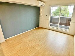 ヴァンセット アムール1