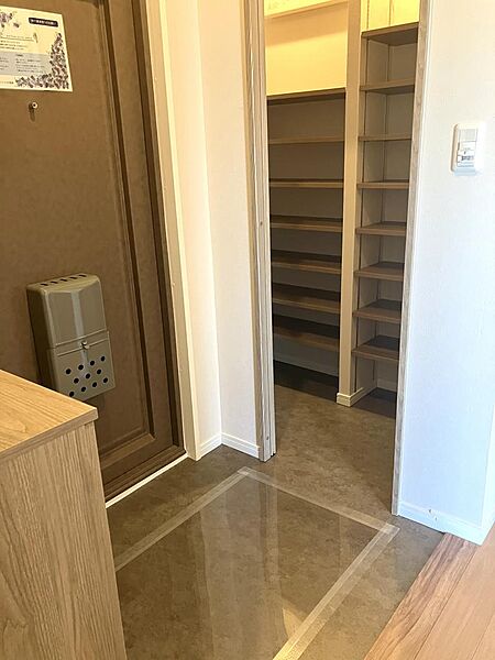 玄関には靴のまま入れるシューズインクローゼットがあります。