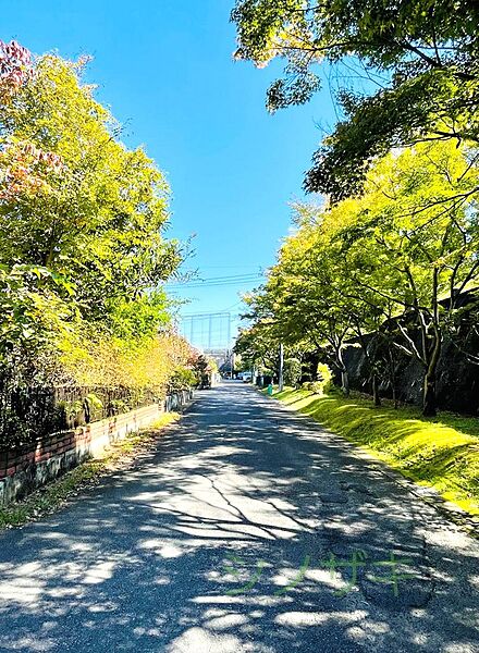 前面道路　南側　６m