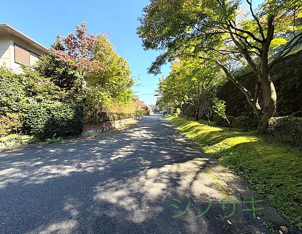 前面道路　南側　６m