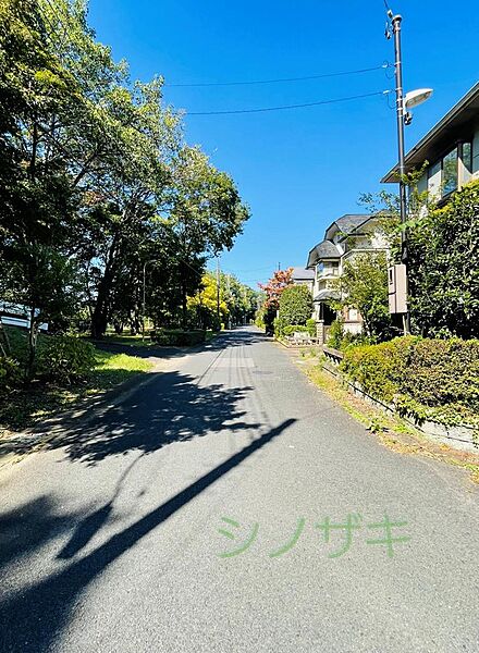 前面道路　西側　６m