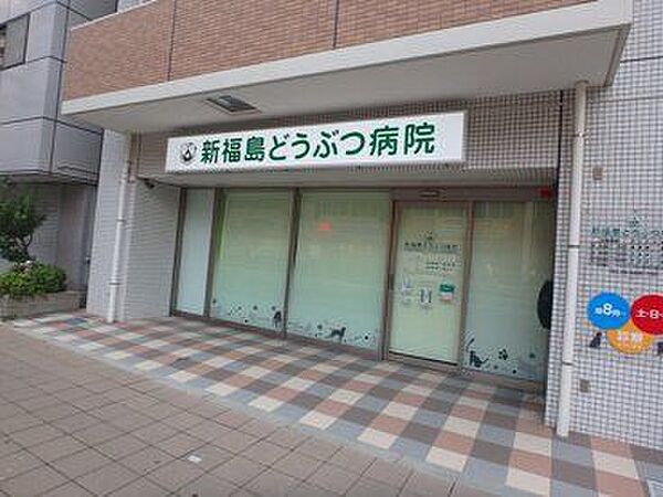 新福島どうぶつ病院 500m