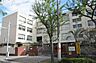 周辺：鴫野小学校 960m
