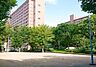 周辺：中津公園 590m