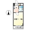 ドール堀田11階3.7万円