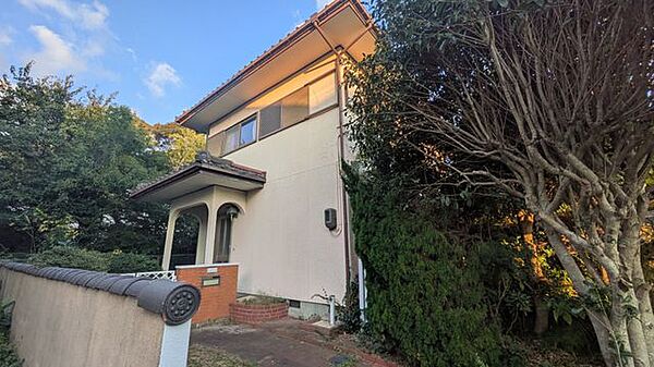 外観：335000032035