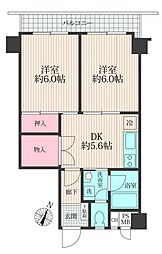 ハイネス国分寺ルミエール 2DKの間取図画像