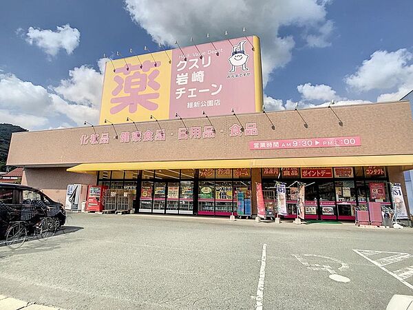 画像13:クスリ岩崎チェーン維新公園店(2、141m)
