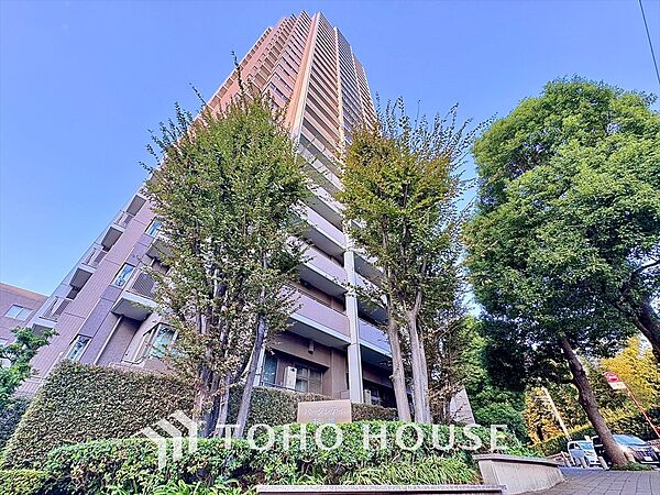 外観：313004493340